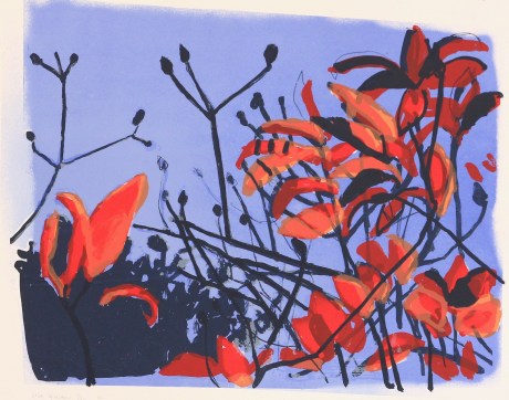 red leaves and blue sky