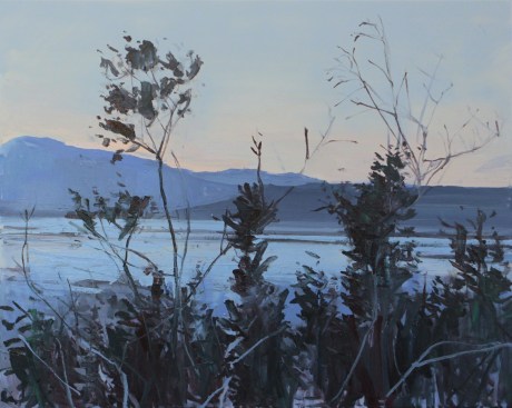 Death valley branches