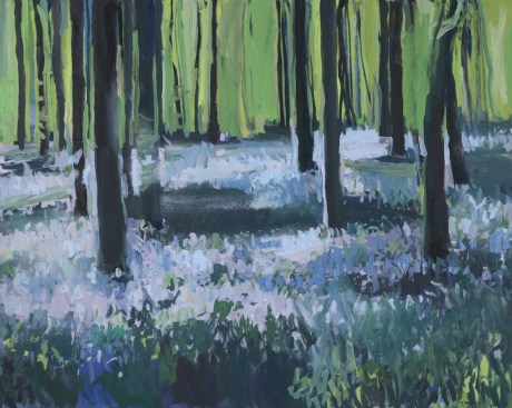 Bluebell forest shadows 47 x 59in