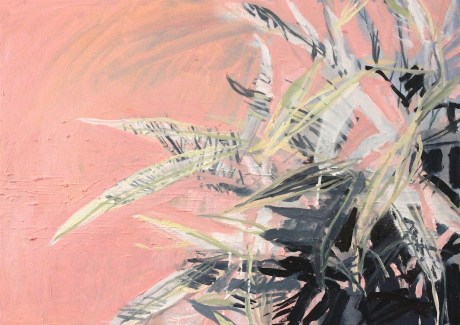 shadow on pink wall  20 x 28in