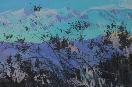 Death Valley mountain branches  40 x 60in