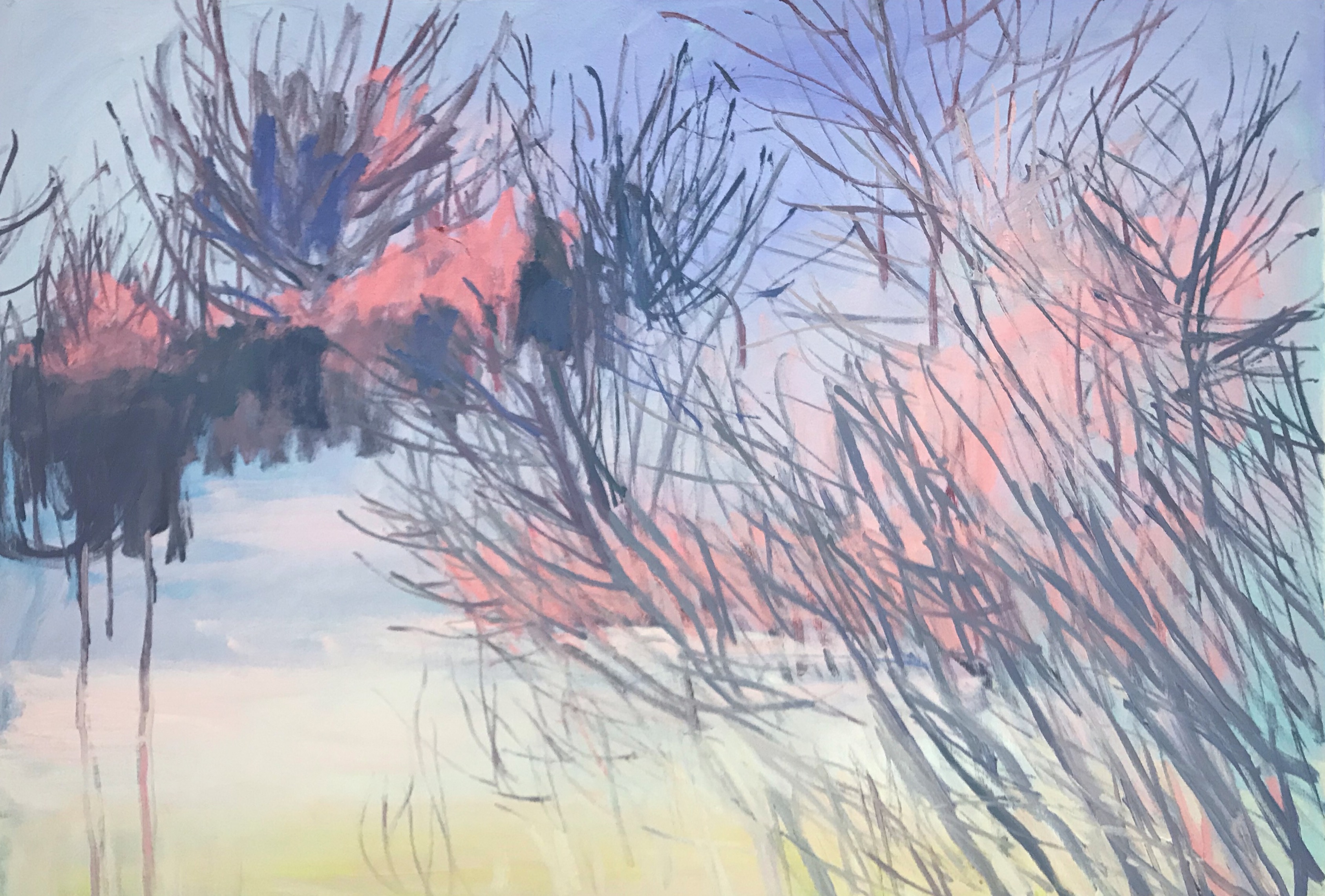 pink trees 27 x 39in. 69 x 99cm