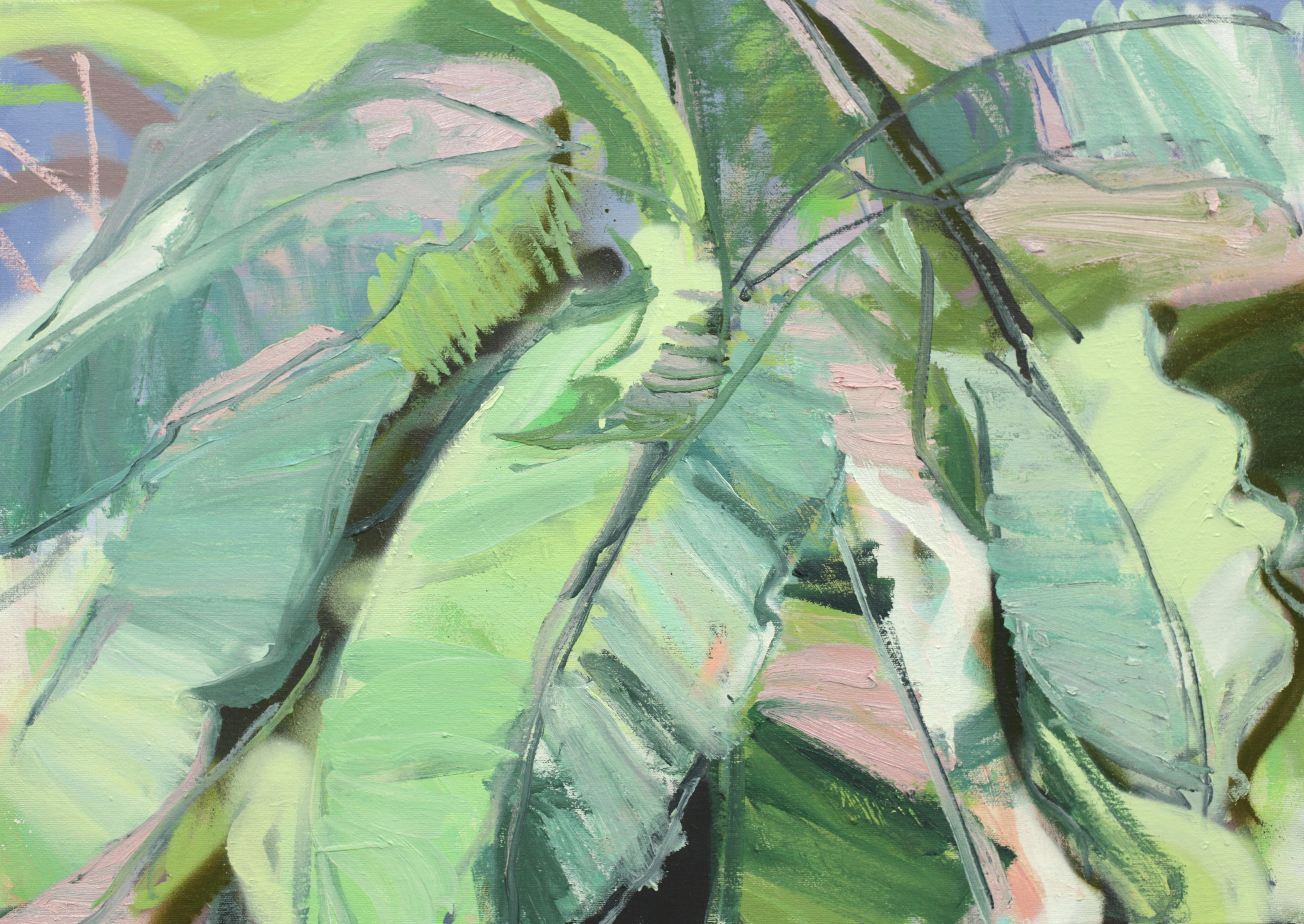 Banana tree 20 x 28in