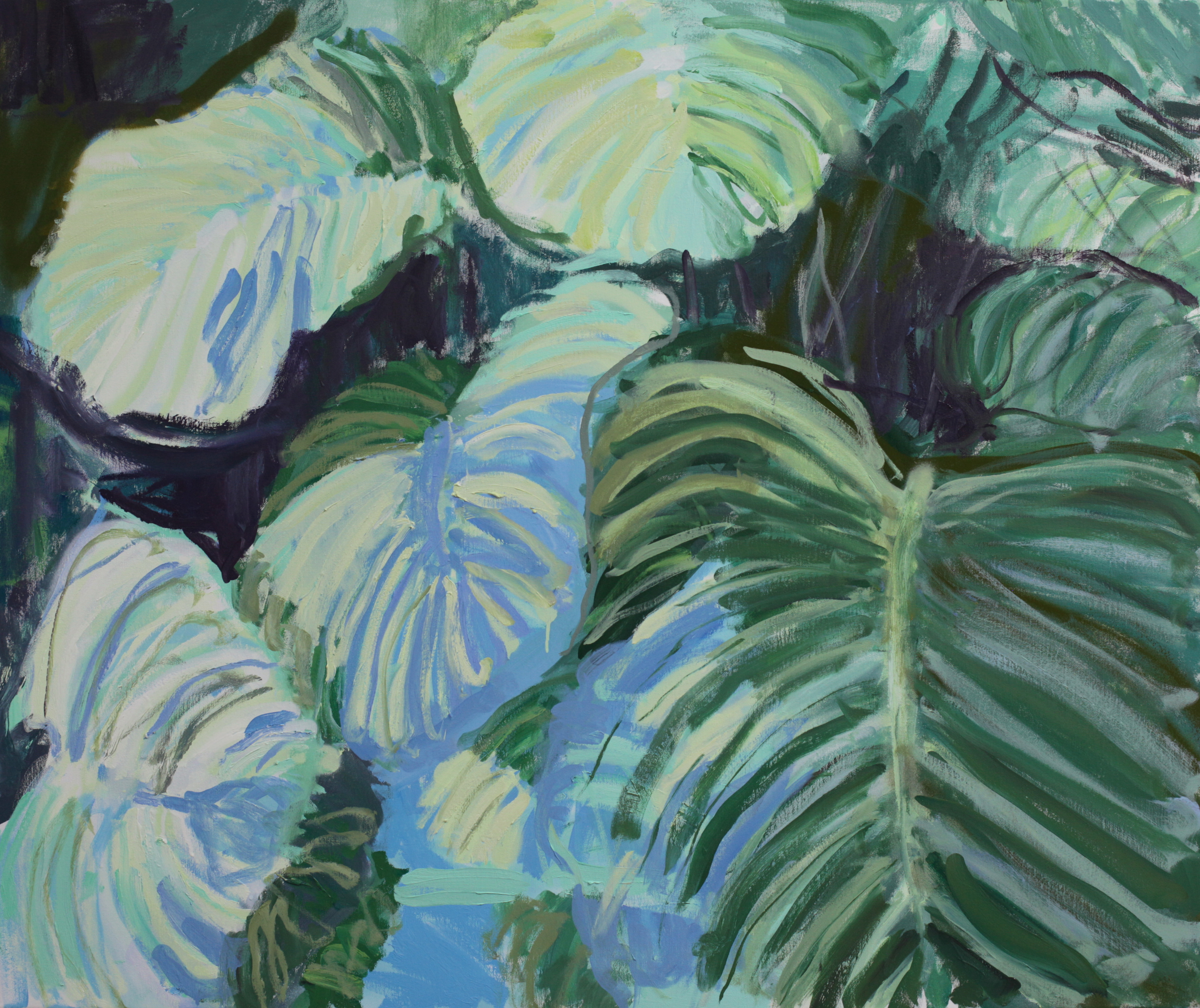  Orbifolia Calathea and shadows  100 x 120cm.jpeg
