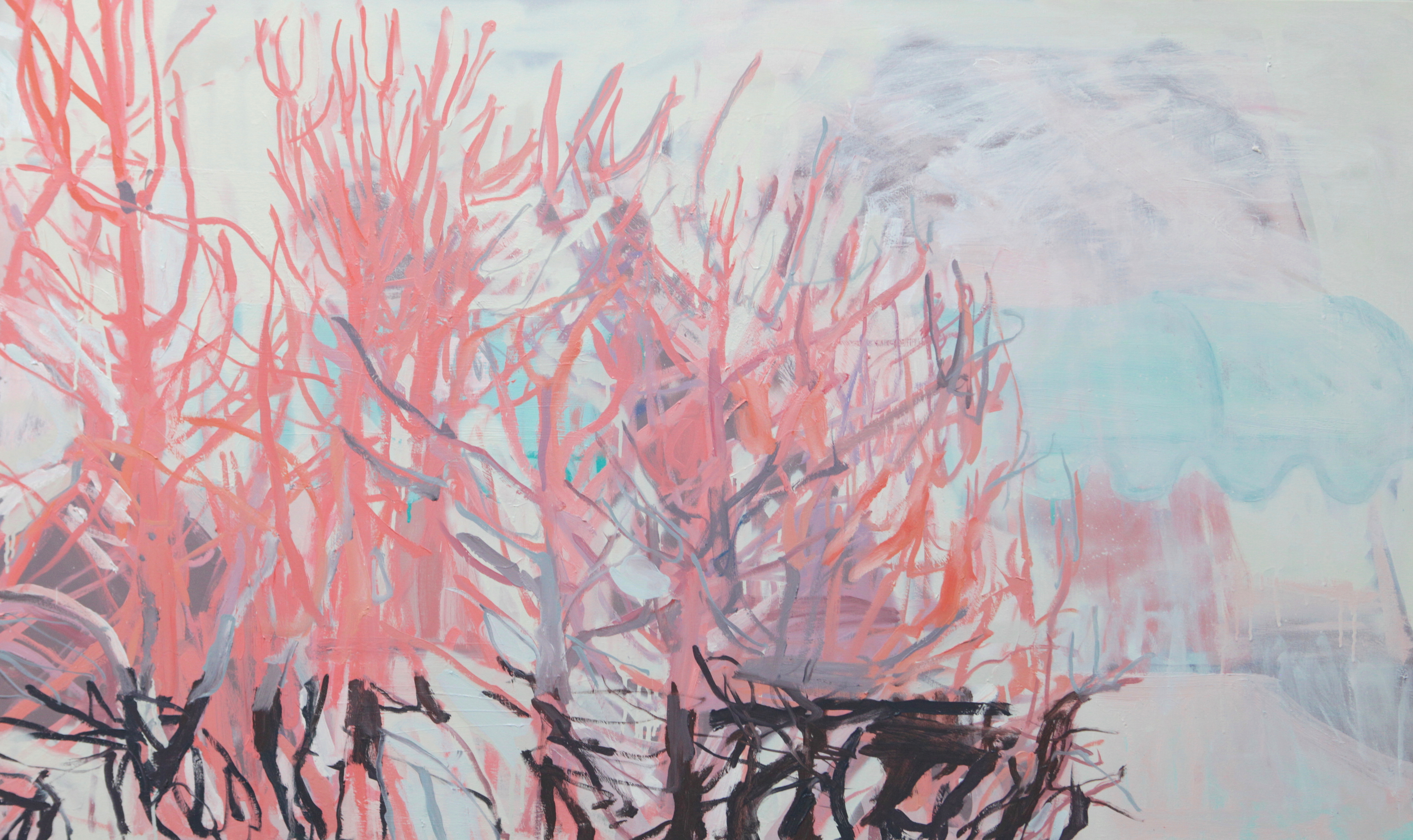 palm springs pink 36x 60in