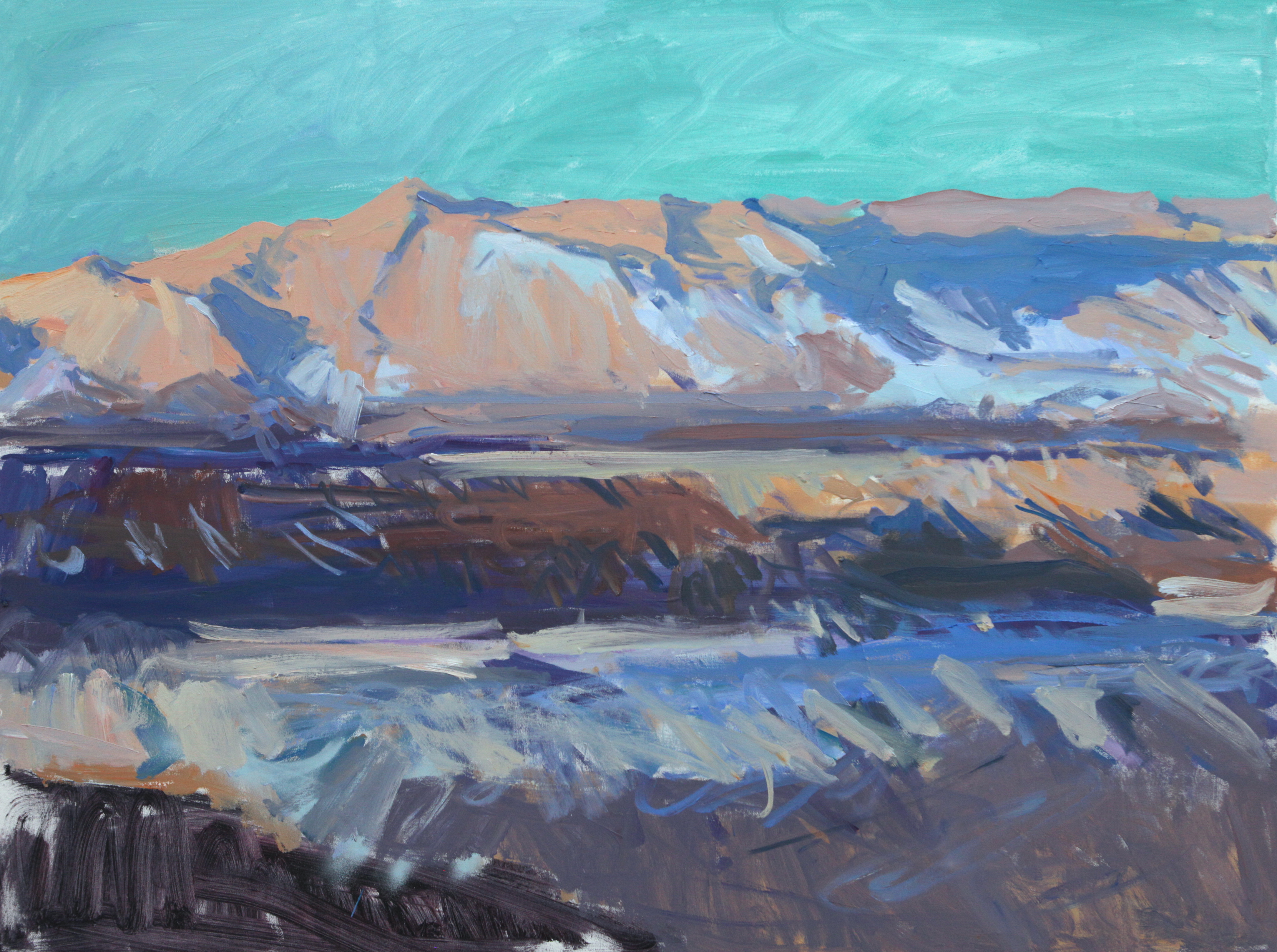 Mountain Anza Borrego 36x48in