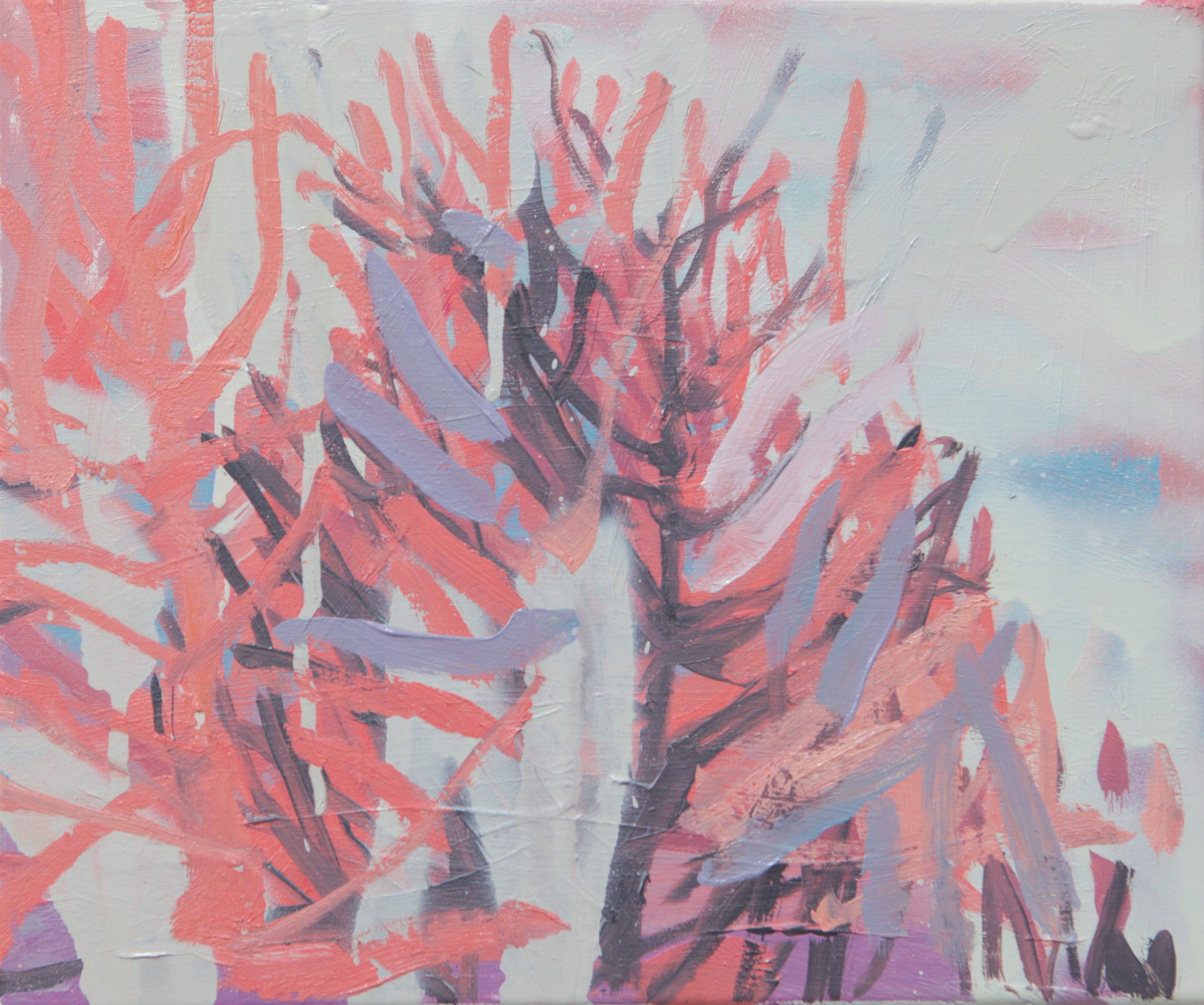 palm springs pink shadows. 10 x 12in